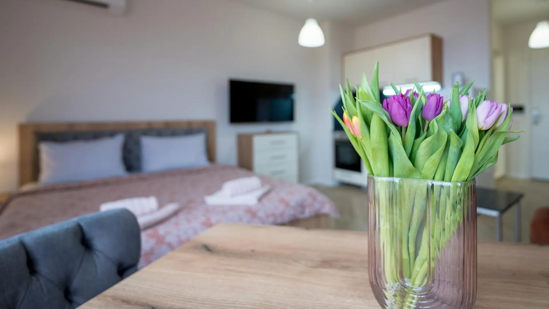 Aparthotel Wow Studios For Rent - Bul Montevideo 25A - B Sofia